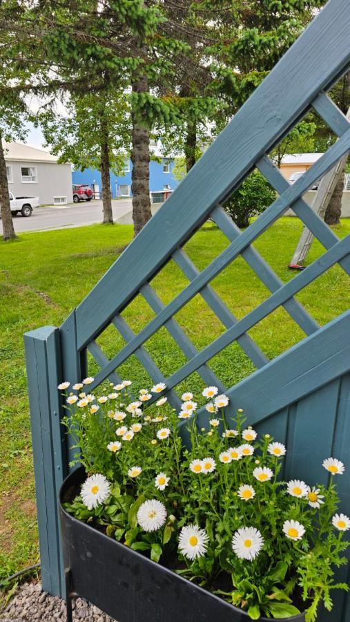 B&B Rooms Husavik 1 Dış mekan fotoğraf